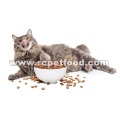 cat food organic for petcat