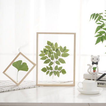 4-Color Double-Sided Glass Frame DIY Plant Specimens Album Solid Wooden Wedding Party Desktop Decoration Picture Frames Ornament