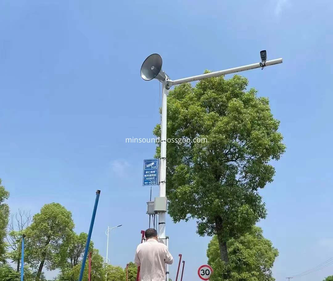 Horn Speaker