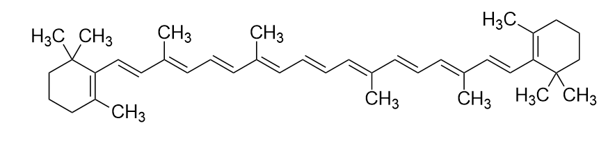 -carotene powder (1)