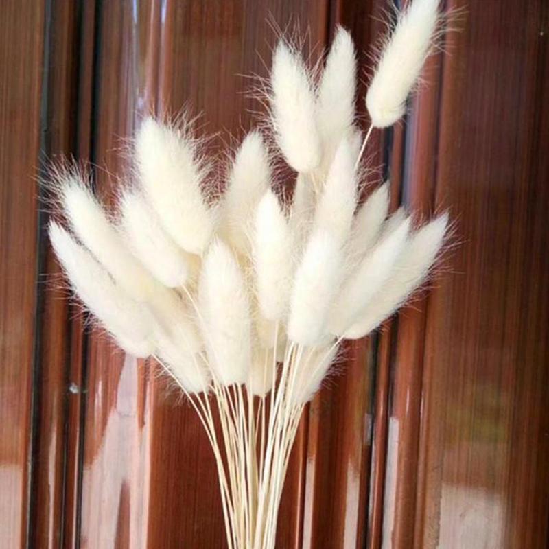 30pcs Lago-tail grass Dried Flowers Bouquet Eternal Natural Plants Preserve Floral for Wedding Home DIY Decor