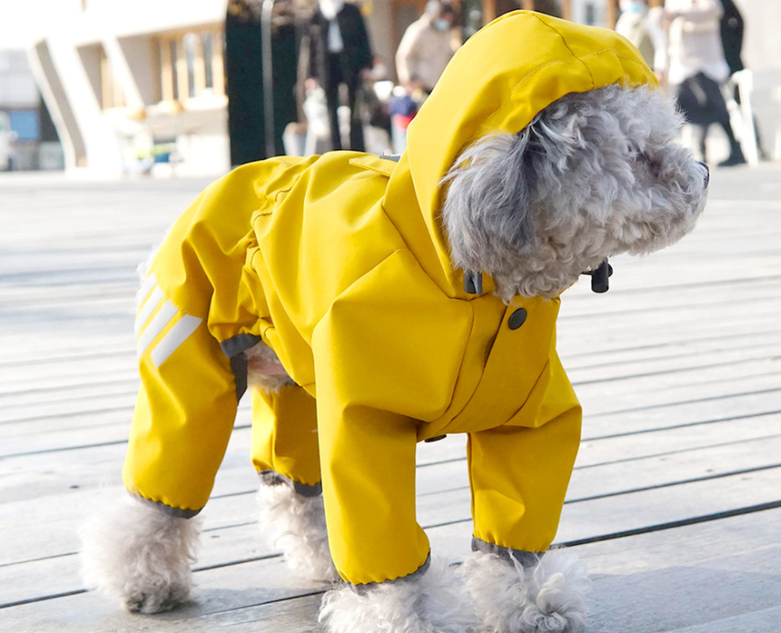 Dog Raincoat Pattern With Hood