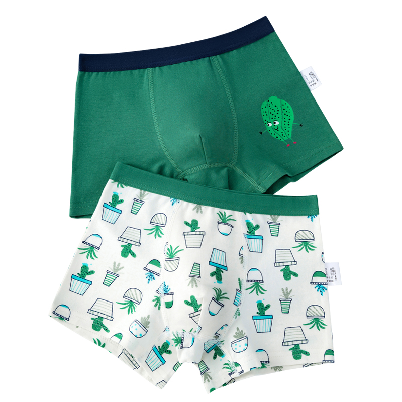 2Pcs Lot 2 To 14 Years Boys Underwear Boxer Elephant Dinosaur Design Kids Cotton Briefs Children's Panties Soft Shorts ZL89