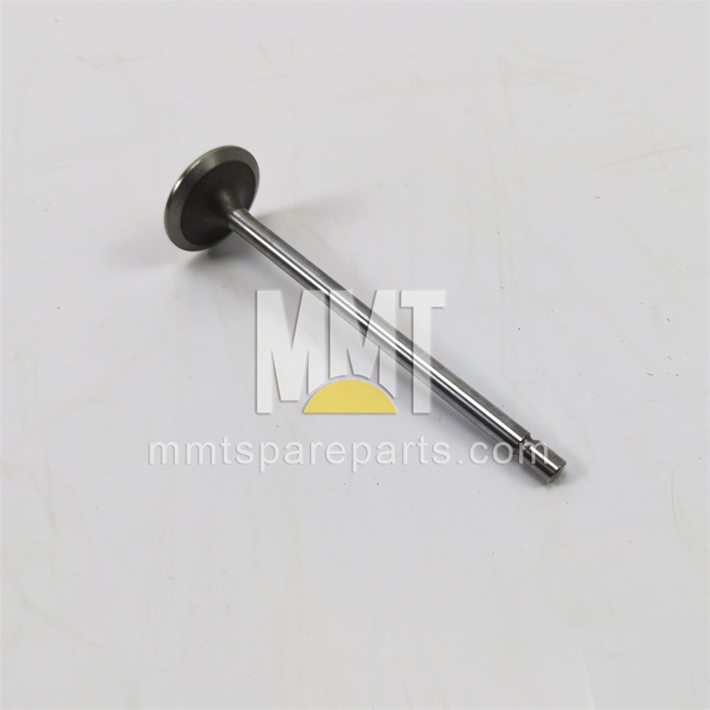 Exhaust Valve 490-1728