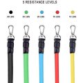 (SHIP NOW) 16 Pcs Resistance Bands Set Exercise Bands 5 Fitness Workout Tubes with 5 Resistance Loop Bands
