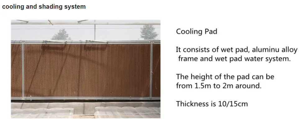 single vegatable cooling system 7