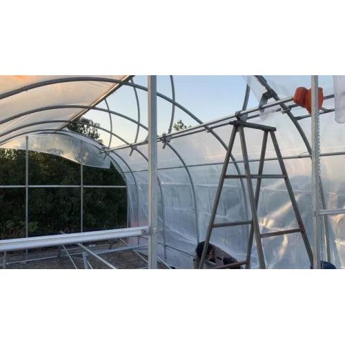 Cheap price Tunnel Plastic /PE Flim Greenhouse Manufacturers and Cheap price Tunnel Plastic /PE Flim Greenhouse Suppliers