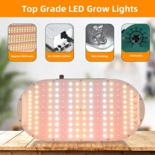 Fanless 90w Grow Tent Light For Home Planting