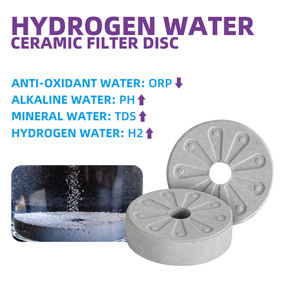Hydrogen Alkaline Drinking Water Disc (2-Pack)