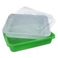 Plastic Nursery Pots Seed Sprouter Tray PP Soil-Free Big Capacity Wheatgrass Grower Seedling Tray Sprout Plate Hydroponic 35P