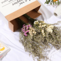 1 Bundle Natural Dried Flower Wedding Floral Arrangement Limonium Grass Party Supplies Eucalyptus Leaf Forget-me-noton