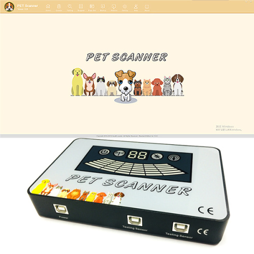 Latest Pet Quantum Resonance Animal Body Health Diagnosis for Sale, Latest Pet Quantum Resonance Animal Body Health Diagnosis wholesale From China