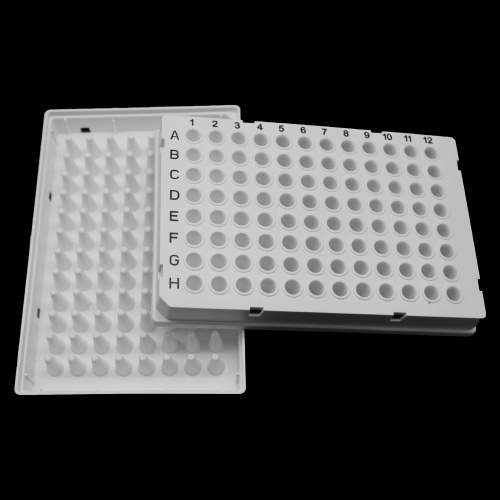 Best DNase RNase free 96 well PCR plate Manufacturer DNase RNase free 96 well PCR plate from China