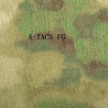 A-TACS-FG