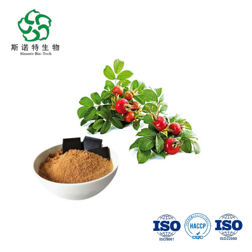 Pure Natural Rosa Canina Extract Powder Water Soluble for Sale, Offer Pure Natural Rosa Canina Extract Powder Water Soluble