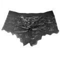 Men's Sexy Underwear Lace Transparent Mesh Low Waist Boyshort Thong Seamless Hollow Out Briefs Panties Mens lingerie