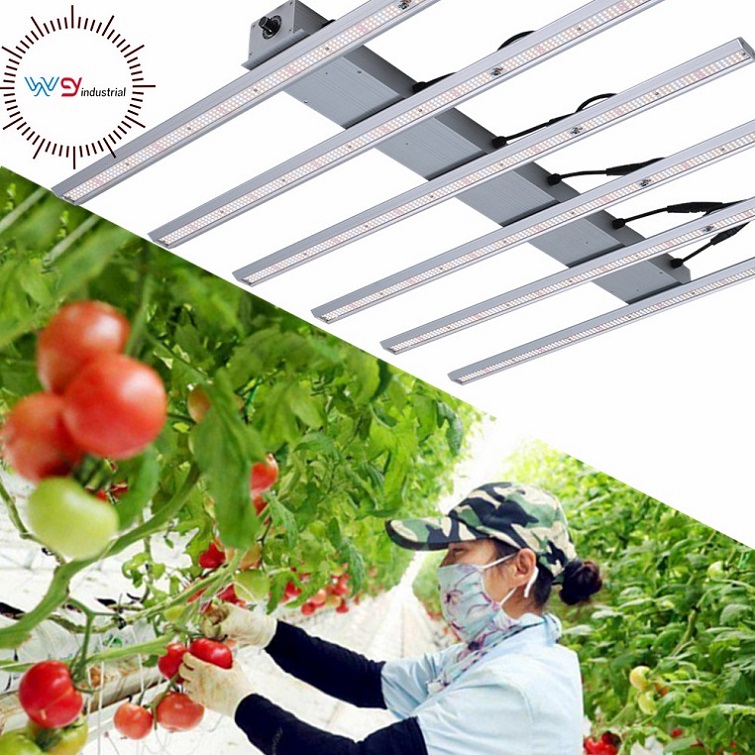 Bars Grow Light Works Well For Growing Plants