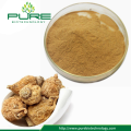 Pure Natural Maca Root Extract Powder