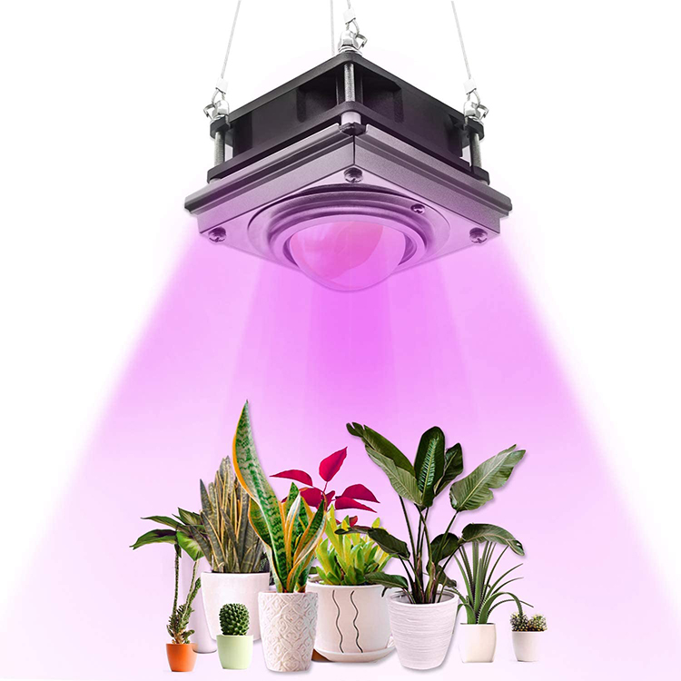 300W Led Grow Lamp For Home Plants Flowers