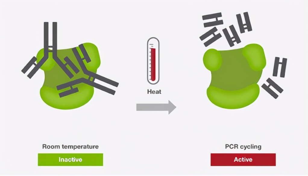 PCR