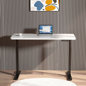 Dual Motor Electric Height Adjustable Sit Stand Desk