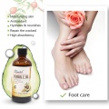 Natural Massage Spa Avocado Essential Oil Cold Pressed Moisturiser Castor Oil 100% Pure Essential Oil