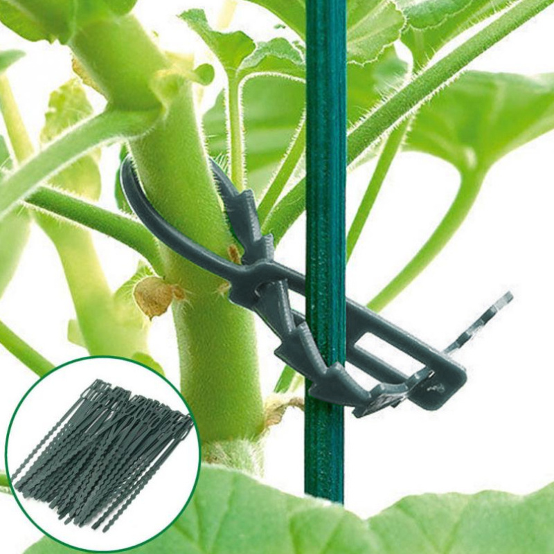 50pcs/lot Gardening Helper Multi-use Reusable Ties for Climbing Easy Flexible Plastic Plant Cable Ties Plant Sprouting Promoter