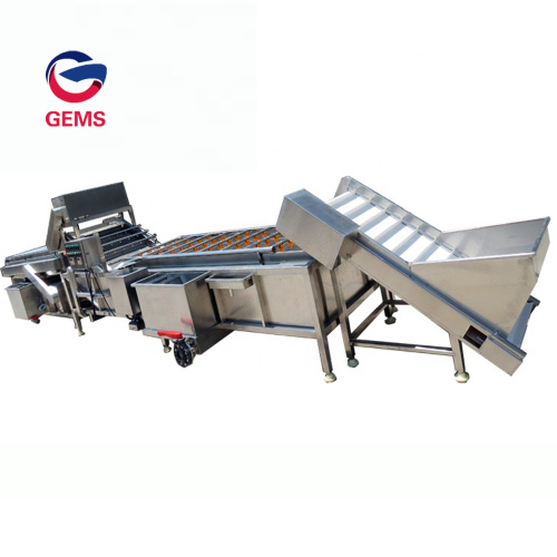 Potato Washer Machine Washer And Dryer Machine for Sale, Potato Washer Machine Washer And Dryer Machine wholesale From China