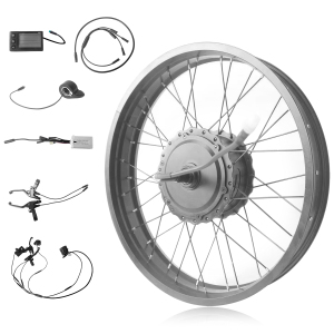 Electric Bike Snow Conversion Kit