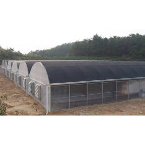 Agricultural Low Cost Plastic Film Covered Greenhouse