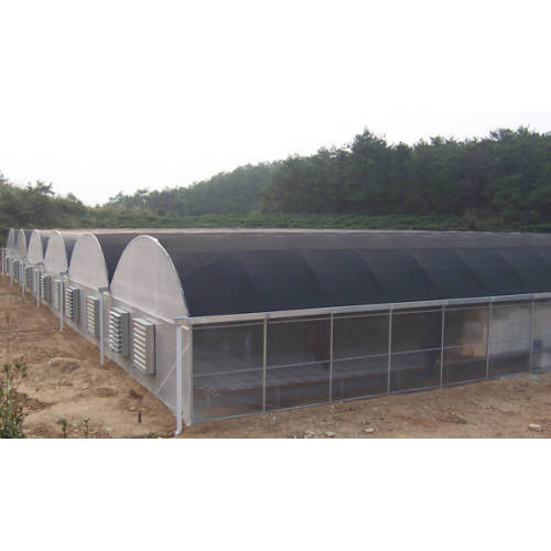 Agricultural Low Cost Plastic Film Covered Greenhouse Manufacturers and Agricultural Low Cost Plastic Film Covered Greenhouse Suppliers