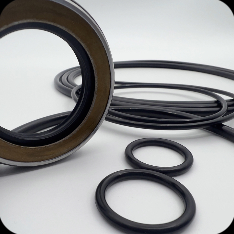 62 Swing Motor Seal Kit