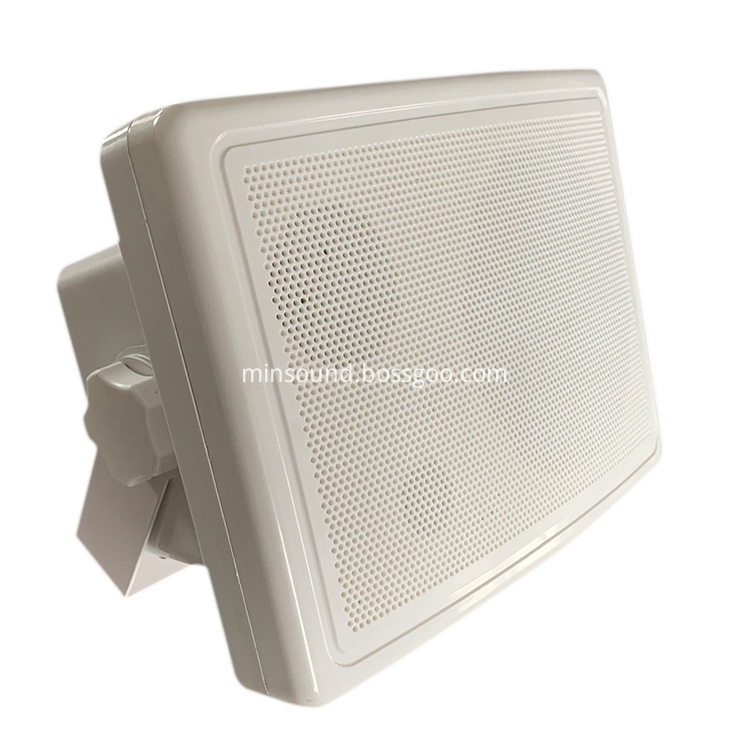 Hifi Wall Speaker Jpg