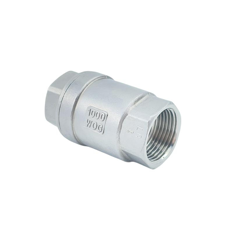 Vertical Lift Check Valve (4)