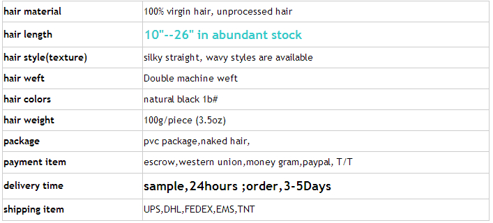 Virgin Ombre Brazilian Hair Weft Extension