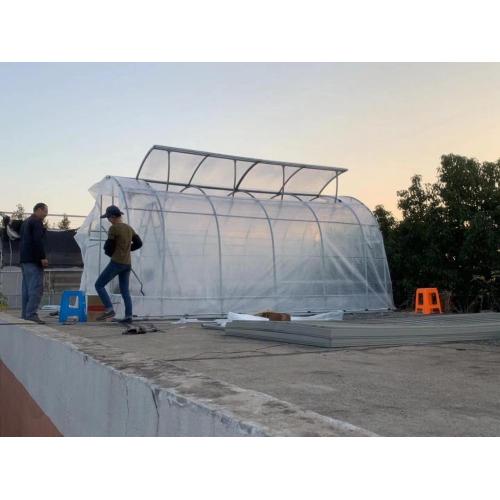 Cheap price Tunnel Plastic /PE Flim Greenhouse Manufacturers and Cheap price Tunnel Plastic /PE Flim Greenhouse Suppliers