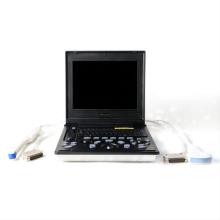 Laptop ultrasound equipment for bichon frise heart disease