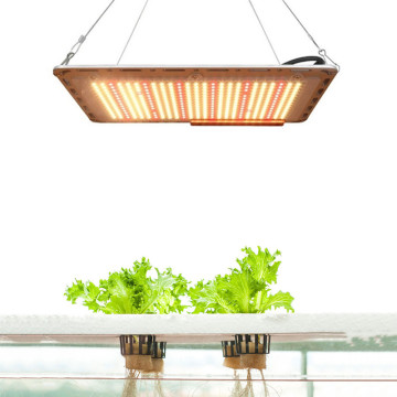 Best Succulent Grow Light Indoor Growing Lamp