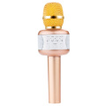 Professional Bluetooth Wireless Microphone Speaker E106 Family Mini Karaoke Player Singing Recorder KTV Microphone