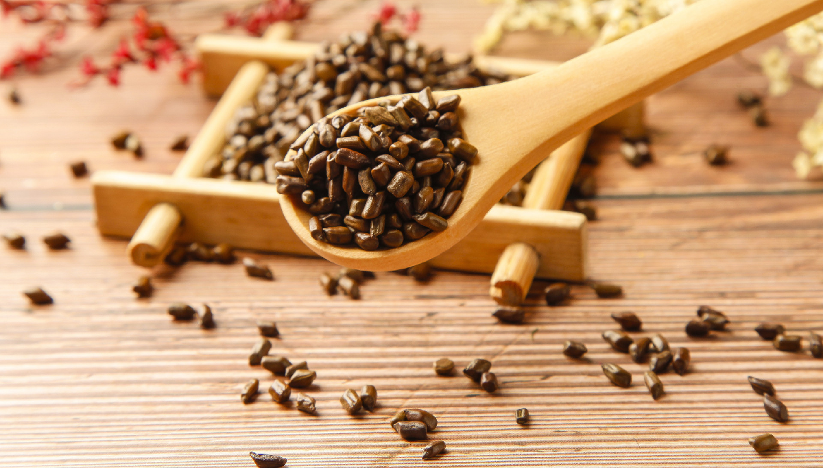 Buy cassia seed extract