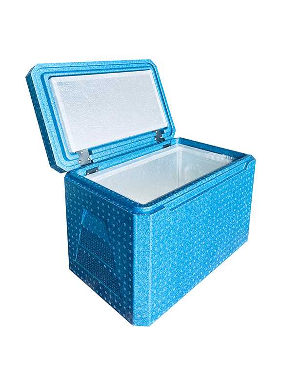 Cool Box (29)