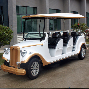 Exquisite Vintage Car Designs Unveiled