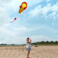 3D Soft kite Whale Dolphin Frameless Flying Kite Outdoor Sports Toy Children Kids Funny Gift