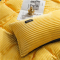 Solid Color Velvet Duvet Cover for Household Winter Warmth Thick Bedding Set Bedroom Set Twin Queen King Duvet Cover