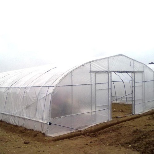 Agriculture Single Tunnel Plastic Film Greenhouse Manufacturers and Agriculture Single Tunnel Plastic Film Greenhouse Suppliers