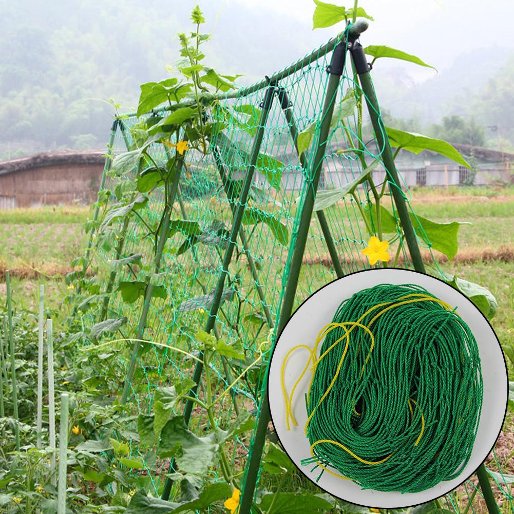 Melon Fruit Morning Glory Vine Net Flower Vine Cucumber Trellis Netting Plant Net For Plant Climbing Garden Supplies