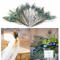 APRICOT 10pcs/lot Natural Peacock Feather Wedding Decoration Flowers/Table/ Chairs/Invitation Card accessory Party Decoration