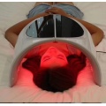 Newest pdt led photon therapy pdt led red light therapy machine