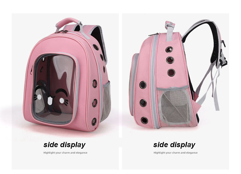 Pet Travel Carrier