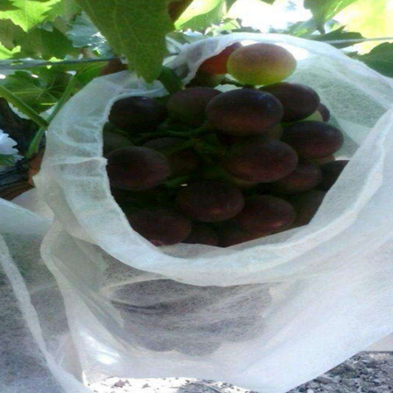 50pcs/pack Grape Protection Bags Prevent Fruit Tree Mosquitoes Anti-Bird Moisture Insect Net Bag Agricultural Against Grape Bags